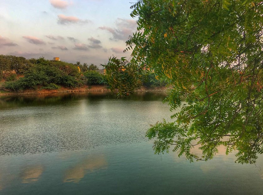 Adambakkam Lake, Chennai, Tamil Nadu - Vushii.com Adambakkam Lake, Chennai, Tamil Nadu - Vushii.com